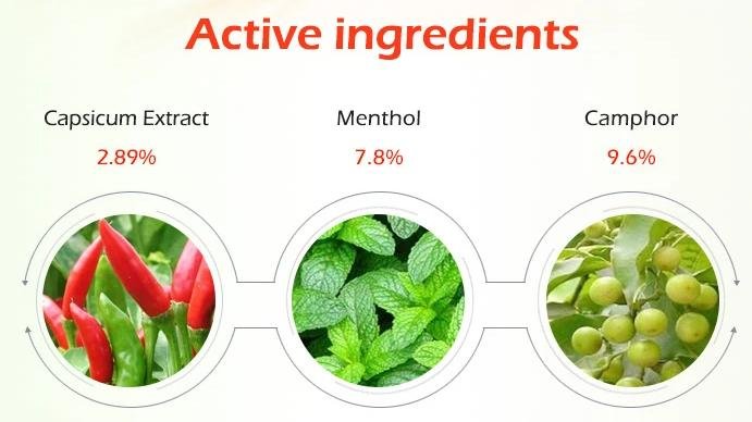 Hot Capsicum Back Pain Relief Patch