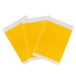Yellow Japanese Mint Weight Loss Slimming Patch